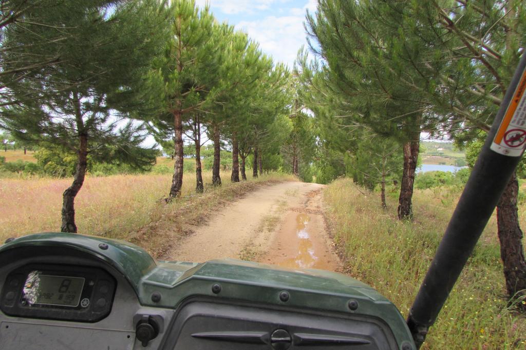 Monte Da Tojeirinha ξενώνας Montargil Εξωτερικό φωτογραφία