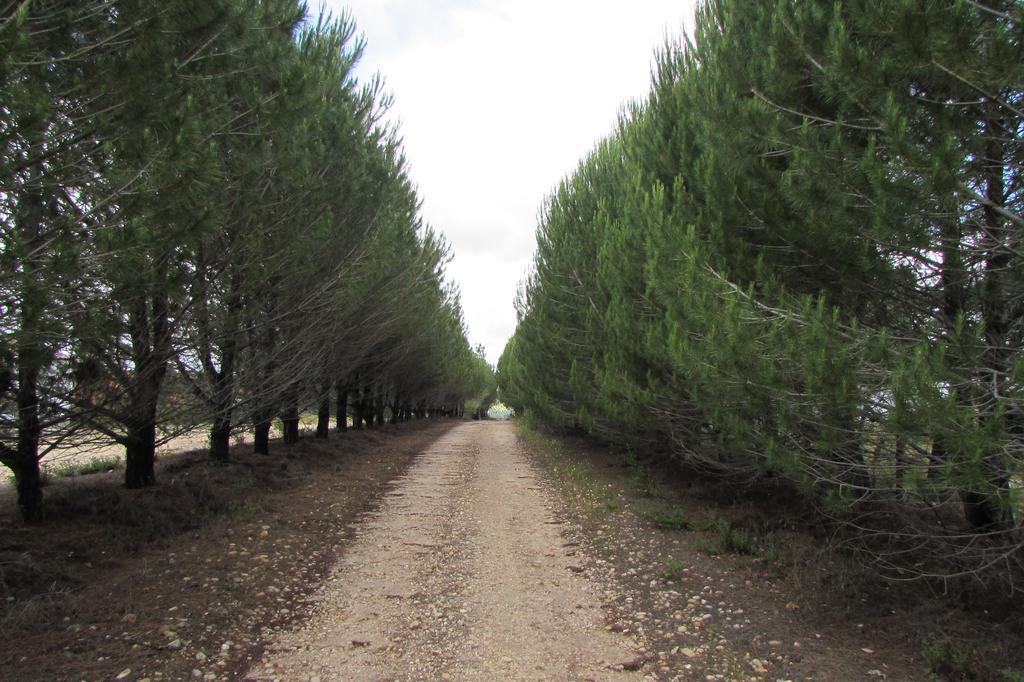 Monte Da Tojeirinha ξενώνας Montargil Εξωτερικό φωτογραφία