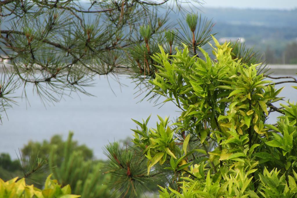 Monte Da Tojeirinha ξενώνας Montargil Εξωτερικό φωτογραφία