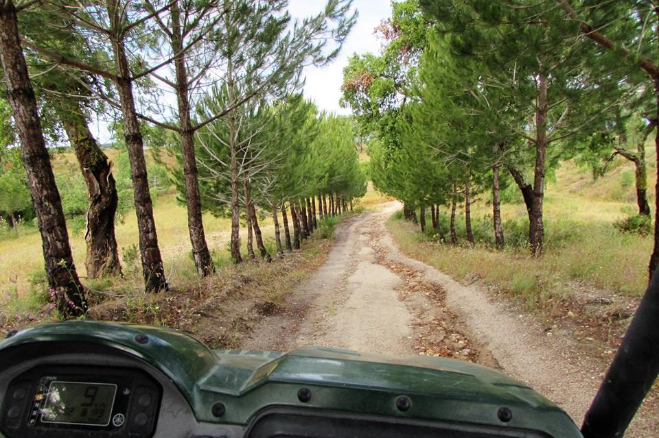 Monte Da Tojeirinha ξενώνας Montargil Εξωτερικό φωτογραφία