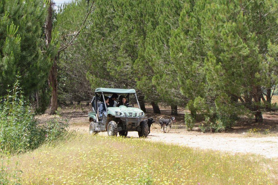 Monte Da Tojeirinha ξενώνας Montargil Εξωτερικό φωτογραφία